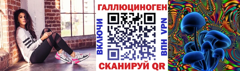 Псилоцибиновые грибы Cubensis  хочу   Курлово 